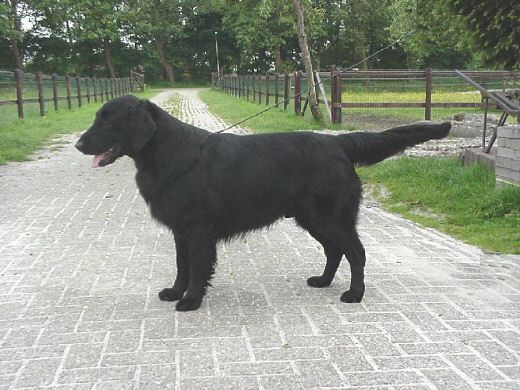 Serilde_Qualcosadatenere.jpg