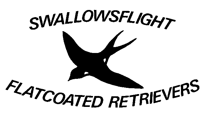 swallow1.gif